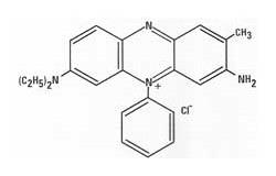 > </div>
<div class=